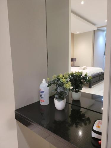 a room with two potted plants on a counter at The Franklin Luxury Apartments in Johannesburg