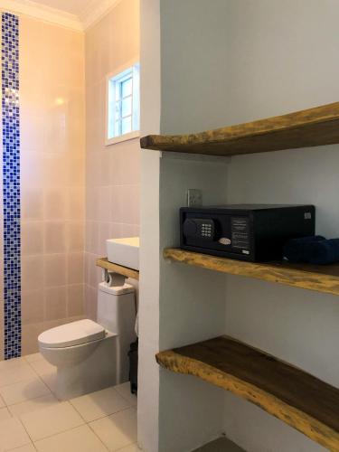 a bathroom with a toilet and a sink and a shower at Badolina Bungalows in Nungwi