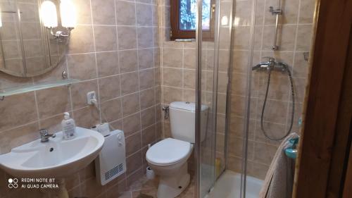 a bathroom with a toilet and a shower and a sink at Góralski dom w Parku Krajobrazowym in Brenna
