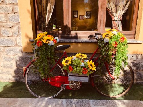 Galería fotográfica de Paradiso della Bici en Morbegno