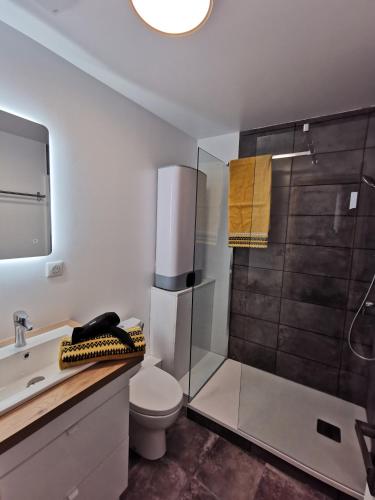 a bathroom with a shower and a toilet and a sink at Les appartements du centre, refaits à neuf, climatisés, hyper centre, 50m à pieds des commerces, restaurants, parking gratuit in Salies-de-Béarn