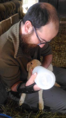 a man is holding a puppy with a frisbee at Agriturismo Oasi del Pianettino in Campagnatico