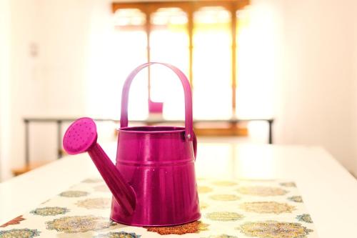 a pink watering can sitting on a table at SIGRUM Hostel in San Rafael