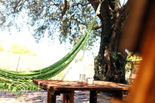 a wooden table under a tree with a hammock at SIGRUM Hostel in San Rafael