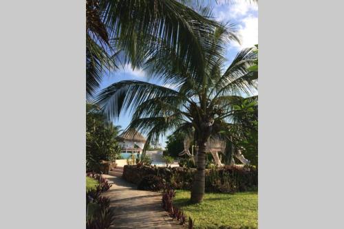 a palm tree in front of a resort at Fortamu - Tembo House in Watamu