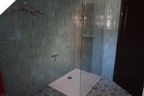 a bathroom with a glass shower with a toilet at Altstadt-Insel in Rathenow