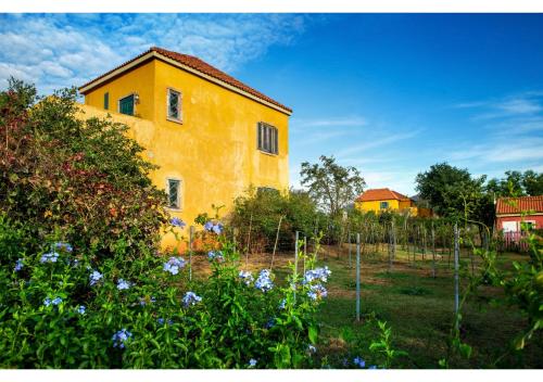 Jardín al aire libre en Davinci Di Khaoyai