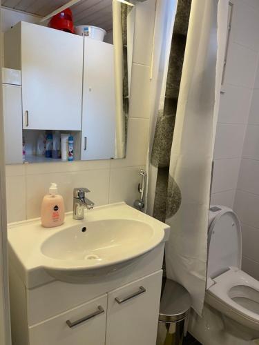 a bathroom with a sink and a toilet at Kylpyla Villa SPA2 539 in Imatra
