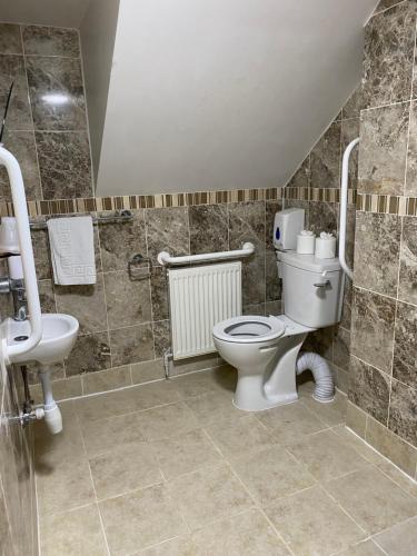 a bathroom with a toilet and a sink at Villa Mentone Hotel in Shanklin