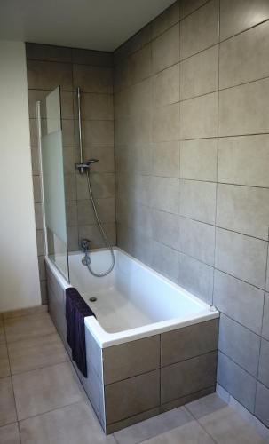 une baignoire dans une salle de bain avec douche dans l'établissement MIRA BELLA - Centre ville avec jardin, à Saumur