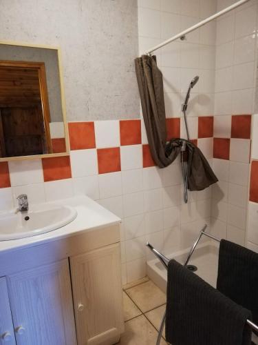 bagno con lavandino e doccia di L'Arrestadou a Le Bouchet-Saint-Nicolas