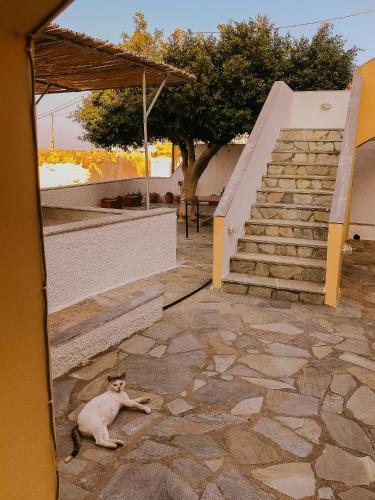 Fotografie z fotogalerie ubytování Flamingo Apartments v destinaci Palekastro