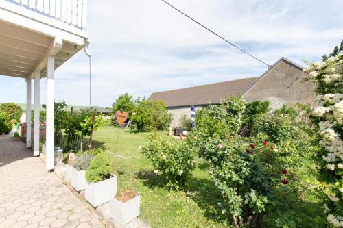 a garden outside a house with flowers at Pension Tadtendrang in Tadten