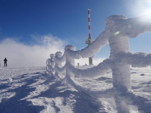 a group of people made out of snow at FeWo schwarzwaldschick Feldberg I wandern & biken ab Haustür I Whirlpool & Wlan & Balkon & Tiefgarage in Feldberg