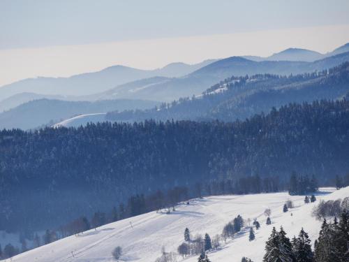 a snow covered slope with trees and mountains in the background at FeWo schwarzwaldschick Feldberg I wandern & biken ab Haustür I Whirlpool & Wlan & Balkon & Tiefgarage in Feldberg