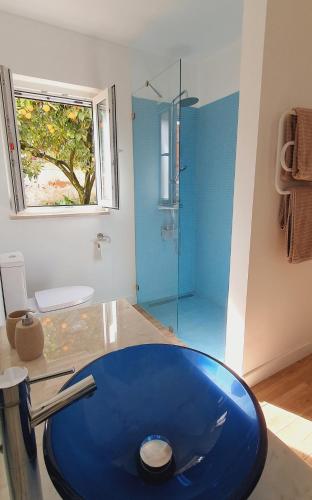a blue sink in a bathroom with a shower at Quinta da Bizelga Cottages in Tomar