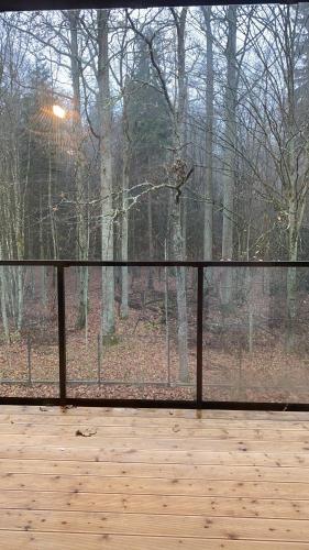 a screened porch with a view of a forest at Apartament Nieznany Bór in Hajnówka