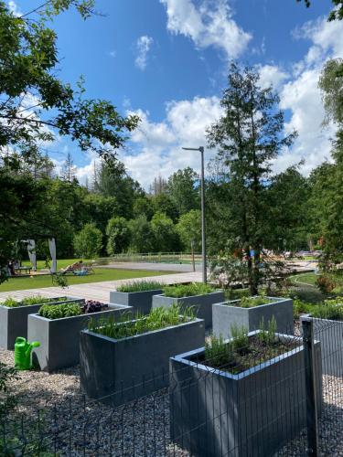 a garden with several plots of plants at Apartament Nieznany Bór in Hajnówka