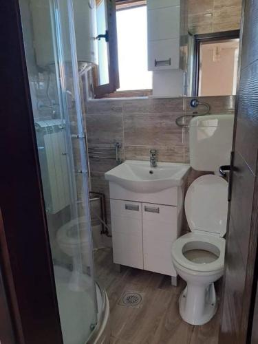 a bathroom with a toilet and a sink and a shower at Tara Medina koliba in Kaludjerske Bare