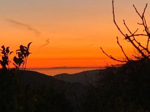 a sunset on a hill with the ocean in the background at Finca Las Fuentezuelas in Carataunas