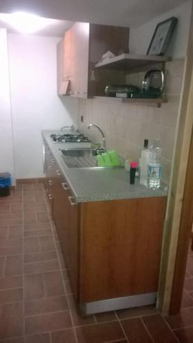 a kitchen with a sink and a counter top at Valprato Soana Casa vacanze in Valprato Soana