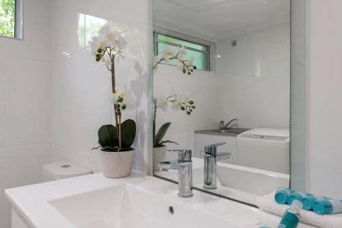 Gallery image of Lychee Tree Holiday Apartments in Port Douglas