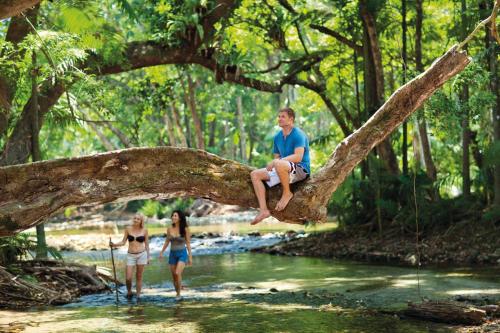 Επισκέπτες που μένουν στο Lychee Tree Holiday Apartments