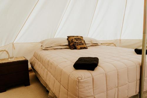 a bedroom with a bed in a tent at Oakridge Glamping in Rotorua