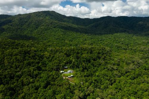 an aerial view of a lush green forest at Daintree Holiday Homes - La Vista in Cow Bay
