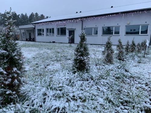 a house with christmas trees in a yard covered in snow at Kihnu Sadama Öömaja Guesthouse in Lemsi