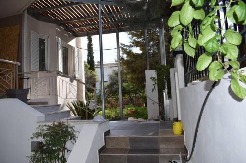h2h Anthi #Comfort apt near Athens