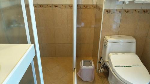 a small bathroom with a toilet and a shower at Rainbow Bridge B&B in Sanzhi