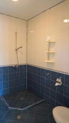 a blue tiled bathroom with a shower and a toilet at Вила Релакс - Villa Relax in Sokolovo