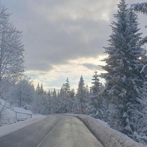 ЛІСОВА ХАТИНКА durante el invierno