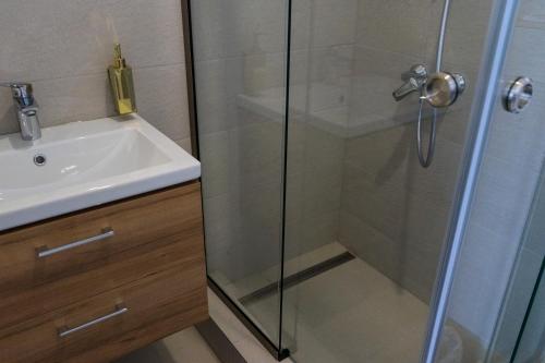 a shower with a glass door next to a sink at English House in Bistriţa