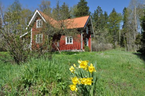 uma casa vermelha no meio de um campo com flores amarelas em Brännkärrstorpet B&B em Knivsta