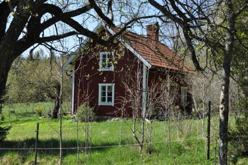 a red house in a field with a fence at Brännkärrstorpet B&B in Knivsta