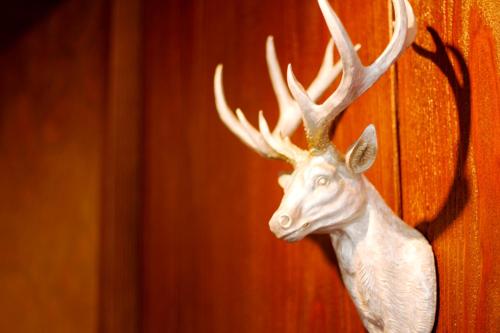 a fake deer head with antlers hanging on a wall at Hotel Hellers Twenty Four I -24h-Check-In- in Friedrichshafen