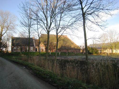 a house on the side of a road with trees at Haus Kormoran am Lauwersmeer 175 in Anjum