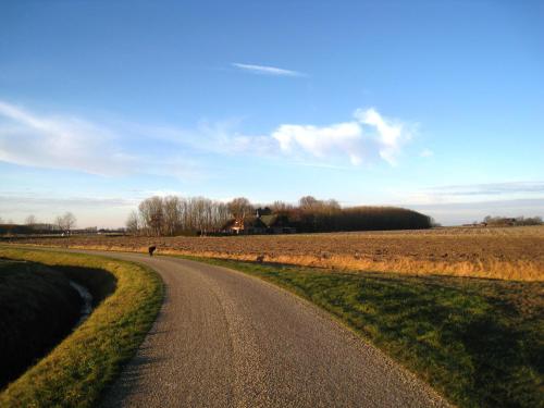 a road leading into a field with a house in the distance at Haus Kormoran am Lauwersmeer 175 in Anjum
