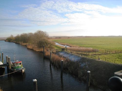 a small boat is docked in a river at Haus Kormoran am Lauwersmeer 175 in Anjum