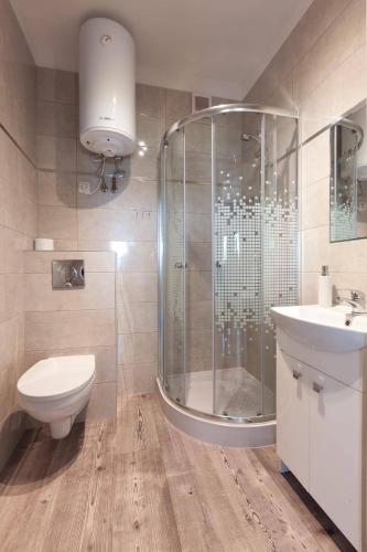 a bathroom with a shower and a toilet and a sink at Domki Bożkowice in Bożkowice