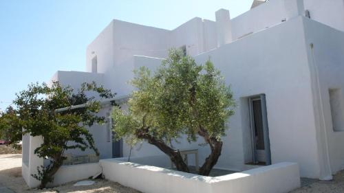 a white building with two trees in front of it at Anezina Village in Drios