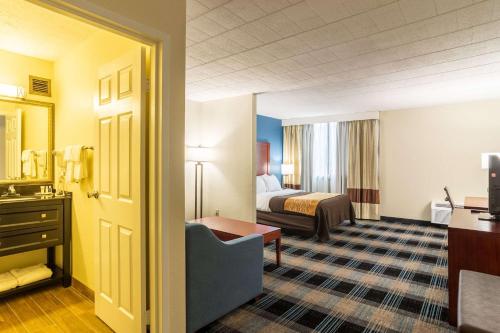 Afbeelding uit fotogalerij van Comfort Inn & Suites in Montrose Hill