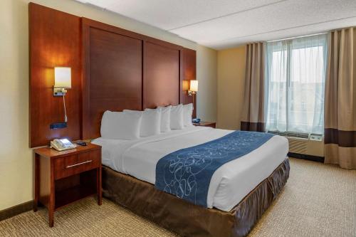 a hotel room with a large bed and a window at Comfort Suites Manassas Battlefield Park in Manassas