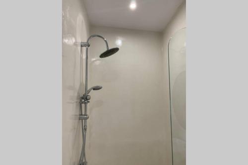 a shower in a bathroom with a glass door at Ευημερία in Andros