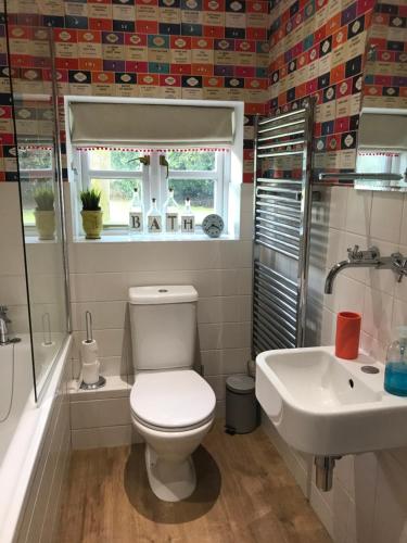 a bathroom with a toilet and a sink at Claremont Coach House in Frensham