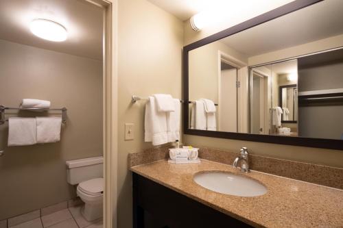 uma casa de banho com um lavatório, um espelho e um WC. em Holiday Inn Express Hotel & Suites Pittsburgh Airport, an IHG Hotel em Robinson Township