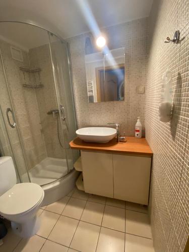 ソポトにあるBaltic Bay apartmentのバスルーム(シンク、シャワー、トイレ付)