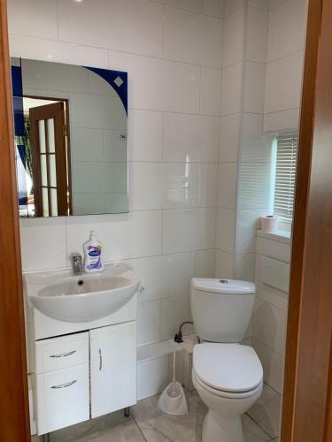 a white bathroom with a toilet and a sink at 4 Seasons in Boryspilʼ